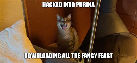 Hacked Into Fancy Feast Imgflip