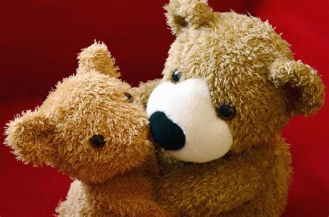 Free Picture Teddy Bear Toy Hug