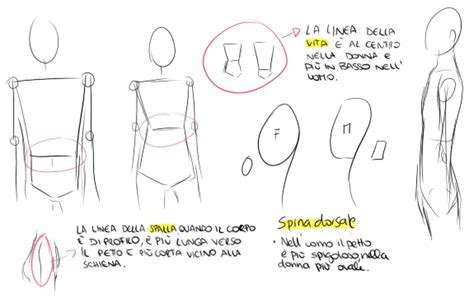 Tutorial Come Disegnare Il Corpo In Stile Manga