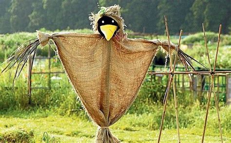 33 Gorgeous Garden Scarecrow Ideas Scarecrow Scarecrows For Garden