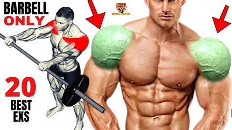 15 Best Shoulders Workout With Barbell Only At Gym Or At Home Youtube