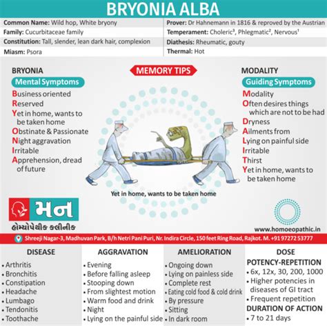 Bryonia Alba Mann Homeopathy Clinic Rajkot