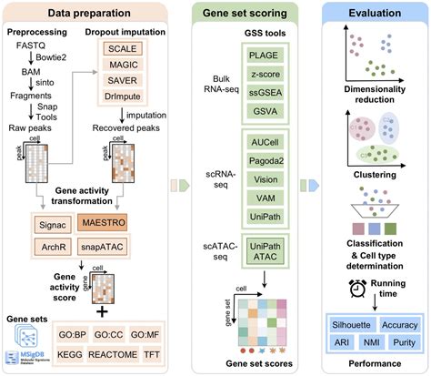 Antisense On Twitter Benchmarking Algorithms For Gene Set Scoring Of