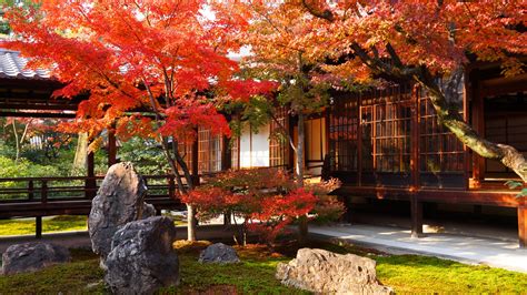 建仁寺 紅葉 祇園の隠れたもみじの名所 京都もよう Kyoto Moyou