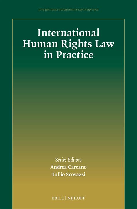 International Human Rights Law in Practice