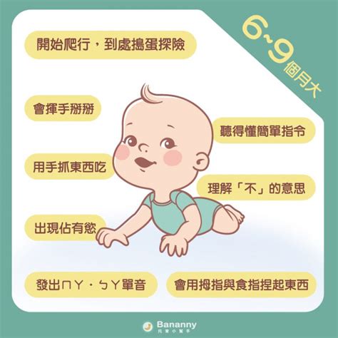 【0~6歲幼兒發展里程碑】第四章：6~9個月的寶寶發展變化！爬行探險挑戰＆家庭安全輔助建議 Bananny托育小幫手