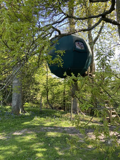 Tree Tents The Secret Campsite