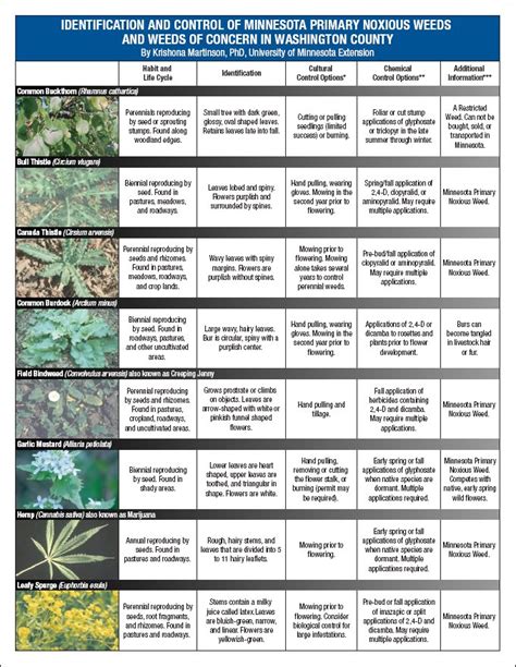 Weed Identification Guides Free Pdf Downloads