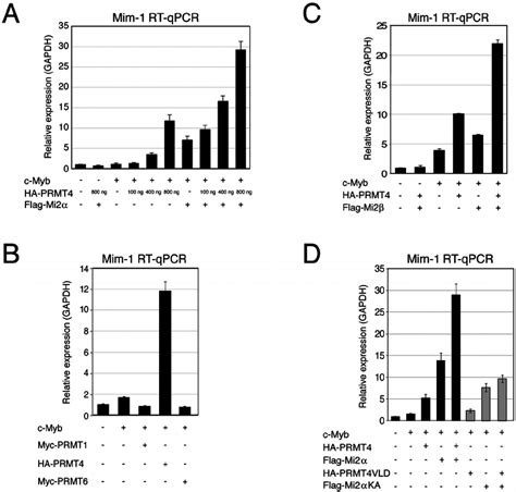 Prmt And Mi Are Cooperating Transcriptional Activators Of