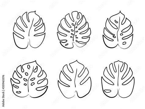 Monstera Leaves Are Drawn With A Single Line Modern One Line Art