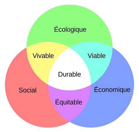 La Responsabilité Sociétale des Entreprises la voie du changement