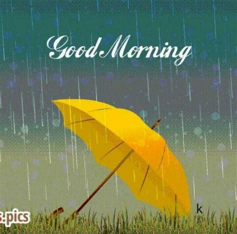 Embracing The Joy Of Good Morning Wishes In The Rainy Season