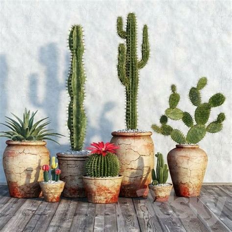 Several Potted Cactus Plants On A Wooden Table