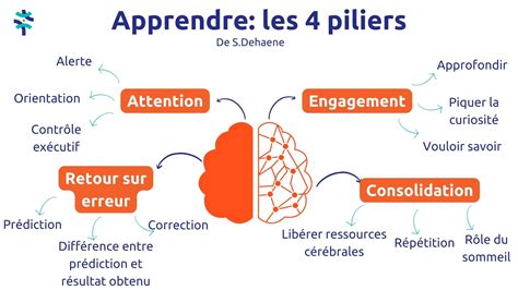 Comment Bien Apprendre Avec Les Neurosciences Pilier 1 EDUCAGILE