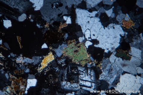 Biotite Thin Section