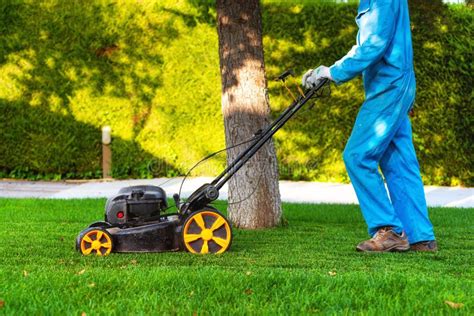 Lawn Mower Cutting The Grass Gardening Activity Stock Image Image