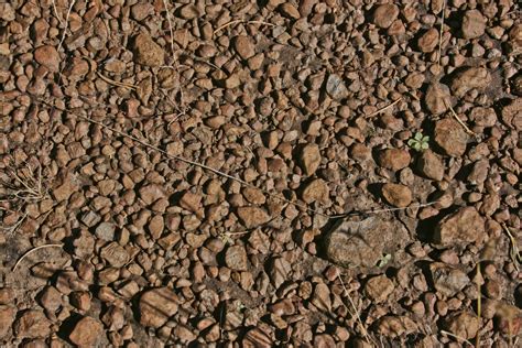 Walking Arizona: Desert pavement