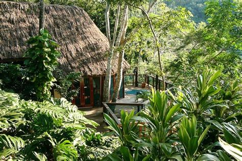 Belize's Best Jungle Lodges To Stay In 2021/2022 | Luxury Jungle Lodges