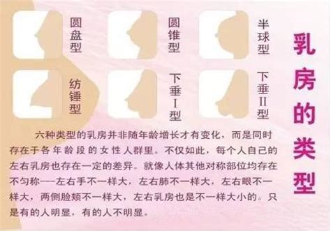 石家庄贵美人整形女人乳房竟有这么多类型 搜狐