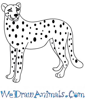 Cheetah Images Drawing - Infoupdate.org