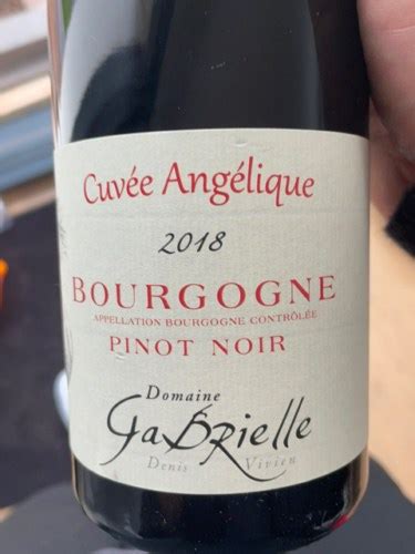 Denis Gabrielle Cuvée Angélique Bourgogne Pinot Noir Vivino US