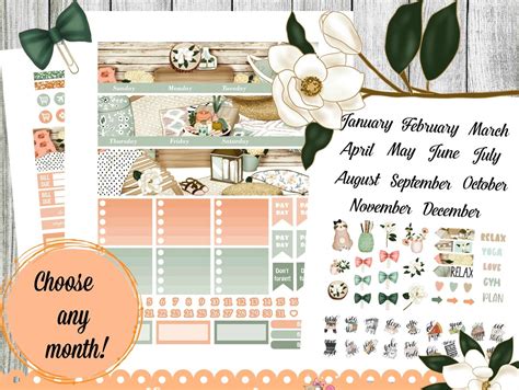 Monthly Planner Printable Stickers Summer Planner Kit - Etsy