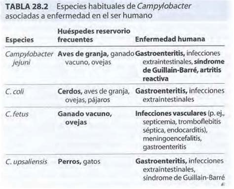 Fichas Capitulo 28 Campylobacter Y Helicobacter Quizlet