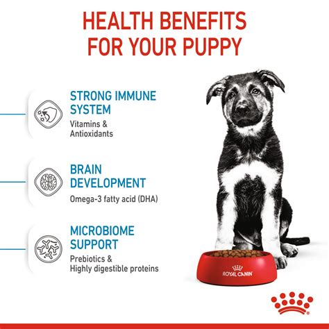MAXI PUPPY | Royal Canin Germany
