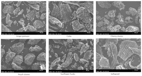 Applied Sciences Free Full Text Biochar From Agro Forest Residue