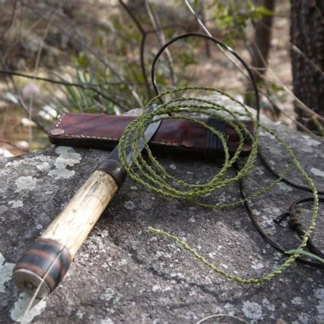 12 Essential Bushcraft Tools: Which do You Really Need?