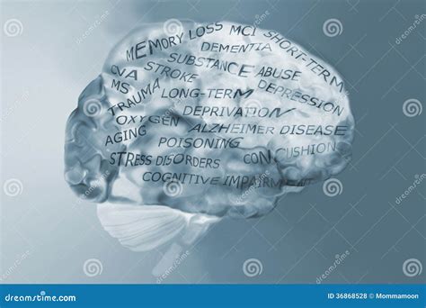 Brain And Memory Loss Causes Royalty Free Stock Photos - Image: 36868528