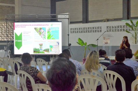 Necesario Crear Control De Hongos Y Plagas En El Plátano Productores