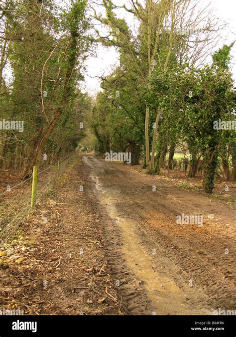 Brown Muddy Track High Resolution Stock Photography and Images - Alamy
