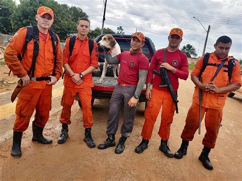 Jovem é encontrado depois de passar oito dias desaparecido na mata em