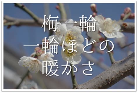 海に出て木枯らし帰るところなし俳句の季語や意味表現技法鑑賞文作者など徹底解説 俳句の教科書俳句の作り方有名俳句の解説サイト