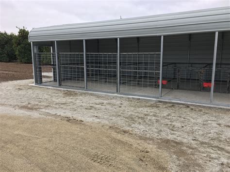 Pig Pens Barn Goat Barn Pig House Pig Farming