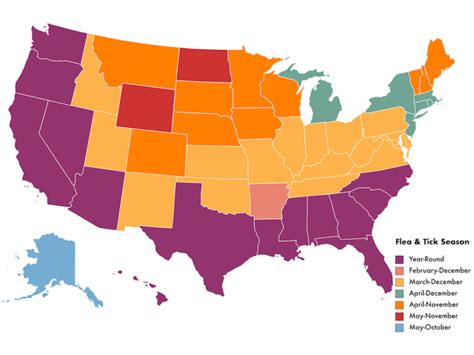 What Is Your States Flea And Tick Season