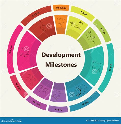 Vector Children Pyramid For Infographic. Child Development ...