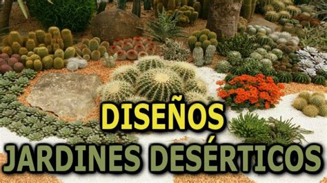 Descubre Los Secretos Del Paisajismo Desierto Trucos Y Consejos Para