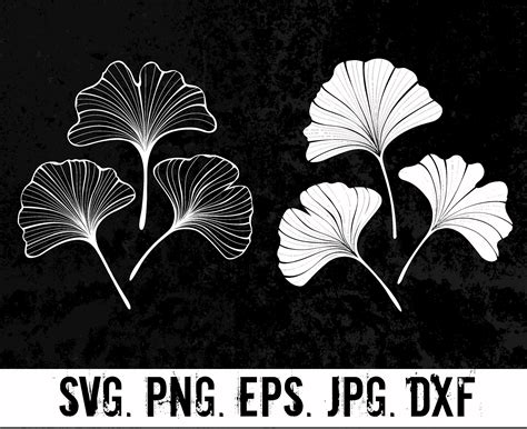 Ginkgo Biloba Leaves In SVG GINKGO BILOBA Eps Dxf Png Etsy