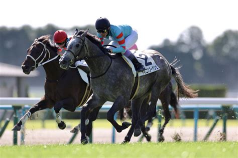 【新馬京都5r】武豊ヤマニンブークリエがデビューvキタサンブラック産駒 競馬ニュースなら競馬のおはなし