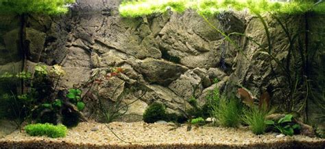 Fake Rock Aquarium Background | Tropical fish aquarium, Aquarium design, Fish tank