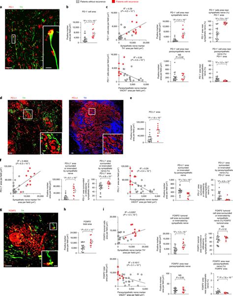 Expression Of Immune Checkpoint Molecules Positively And Negatively