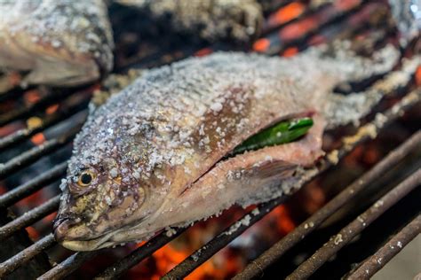 5 Trucos Para Evitar Que El Pescado Se Pegue A La Parrilla MusaGrill