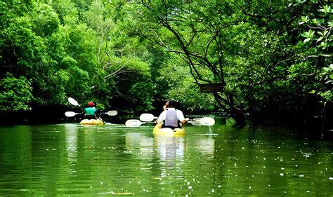 Sea Cave Kayaking At Bor Thor With Lunch Krabi Tours