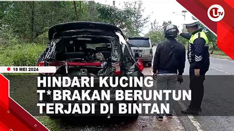 HINDARI KUCING T BRAKAN BERUNTUN TERJADI DI JALAN LINTAS BARAT BINTAN