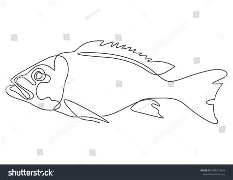 Continuous One Line Drawing Fish Vector Stock Vector (Royalty Free) 1578073546 | Shutterstock