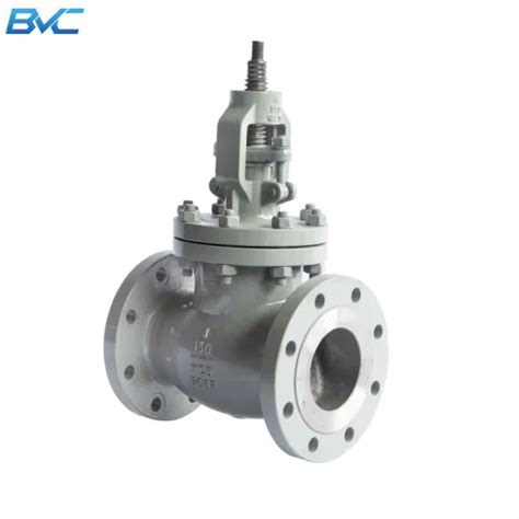 API DN15 DN400 Manual Cast Steel Flanged Straight Globe Valve Swagelok