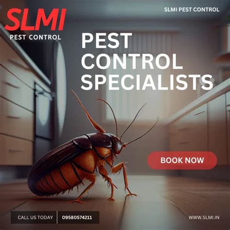 Cockroach Control Services At Rs Sq Ft In Lucknow Id