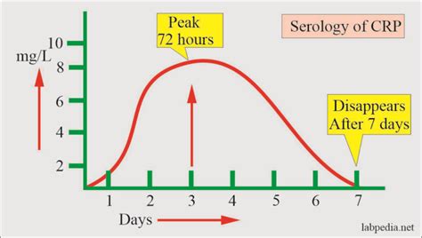 C Reactive Protein Crp High Sensitivity C Reactive Protein Hs Crp